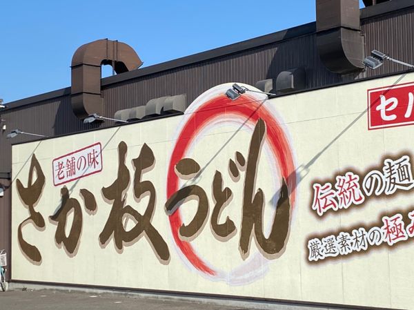 日本・徳島県「香川、徳島、日帰り城巡り🏯」の写真