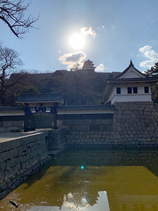 日本・徳島県「香川、徳島、日帰り城巡り🏯」の写真：年明け早々城巡りしてきました🏯丸亀城→高...