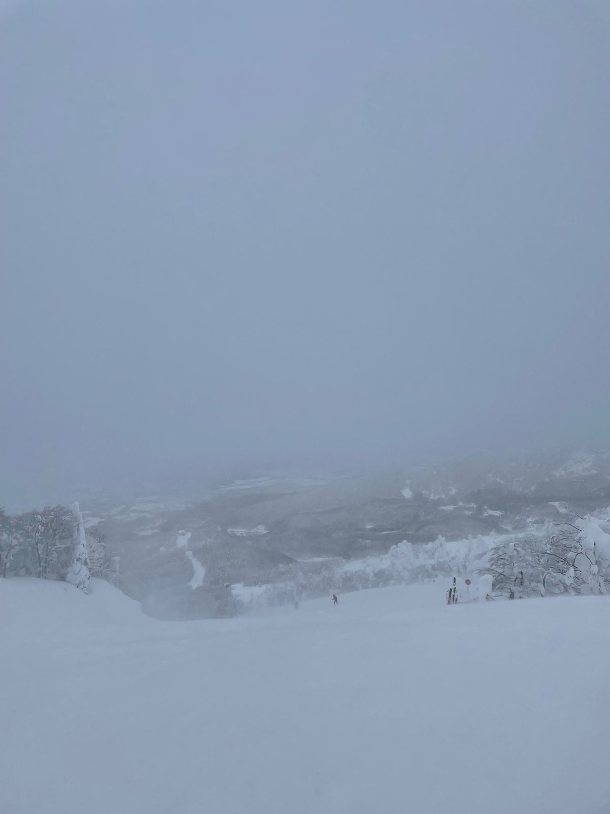 山形蔵王#樹氷#-12.4℃
悪天候で何も見えず…