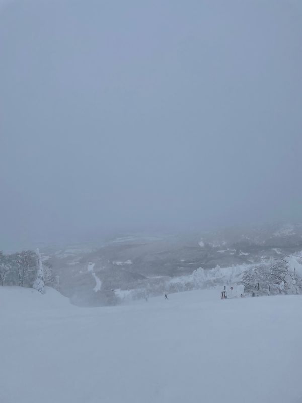 日本・山形県「樹氷見たい！」の写真：山形蔵王#樹氷#-12.4℃
悪天候で何...