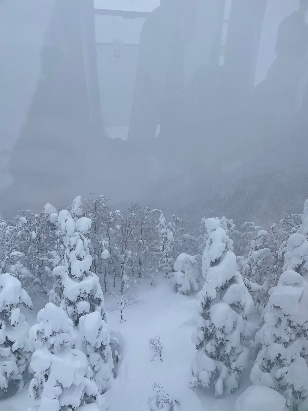 山形蔵王#樹氷#-12.4℃
悪天候で何も見えず…