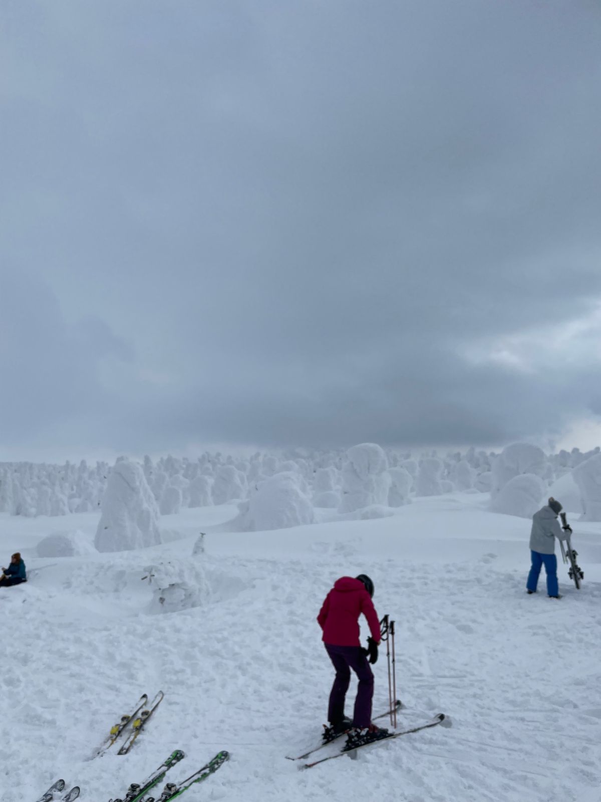 山形蔵王温泉#樹氷