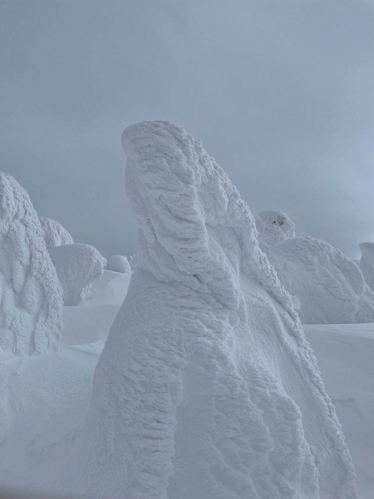 山形蔵王温泉#樹氷