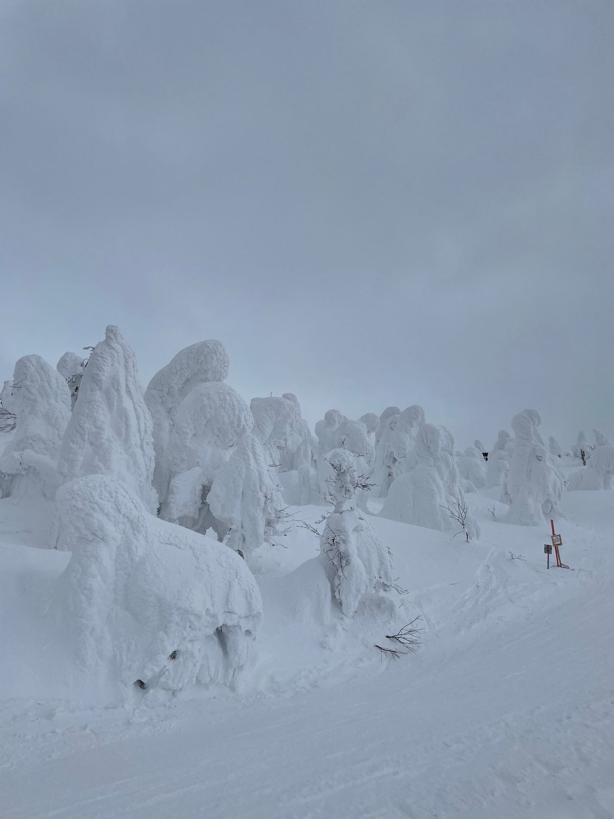 山形蔵王温泉#樹氷