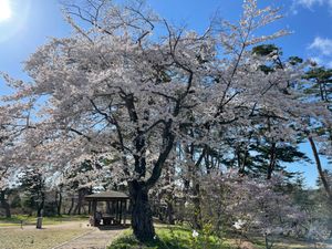 厳美峡