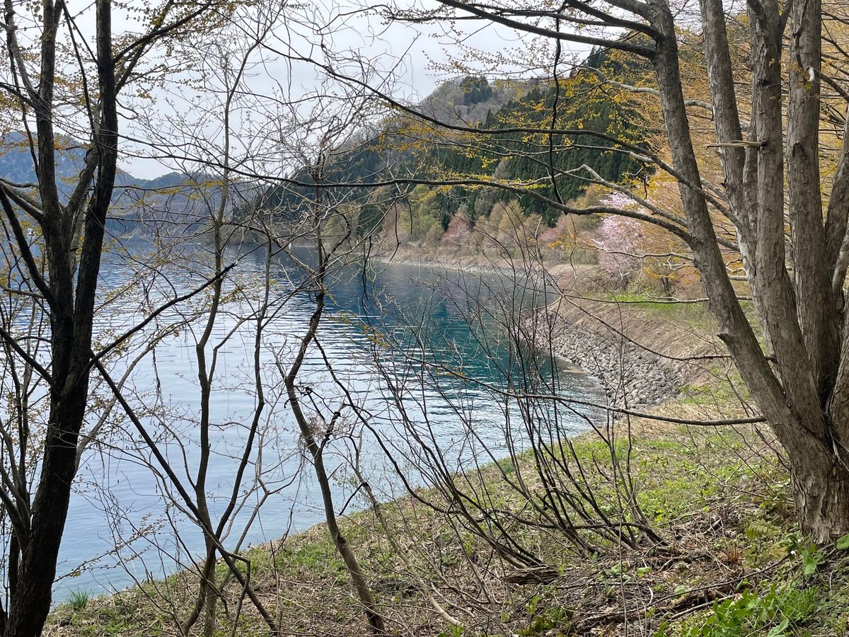 #田沢湖#たつ子像#水が碧い