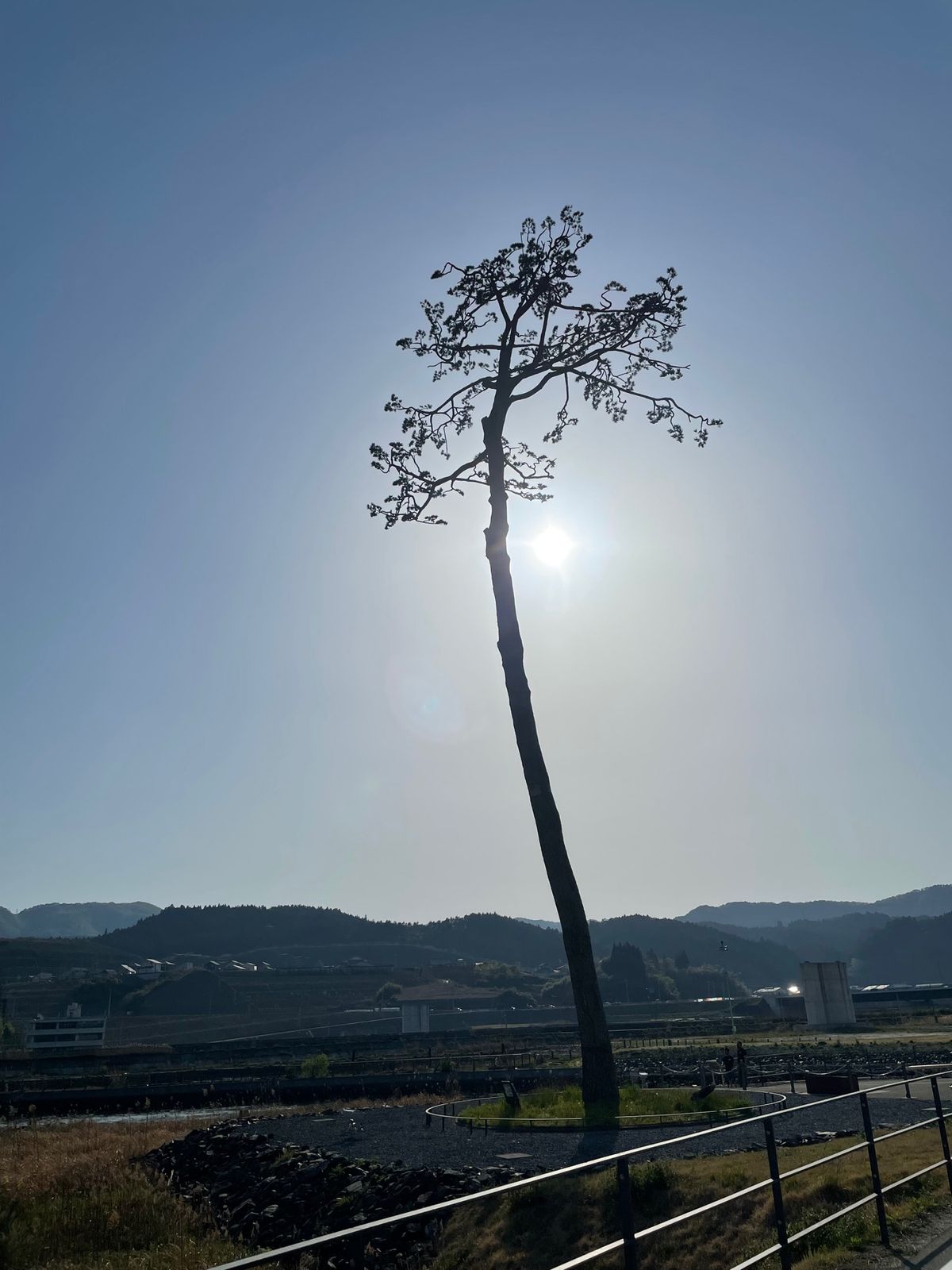 高田松原#奇跡の一本松#震災遺構