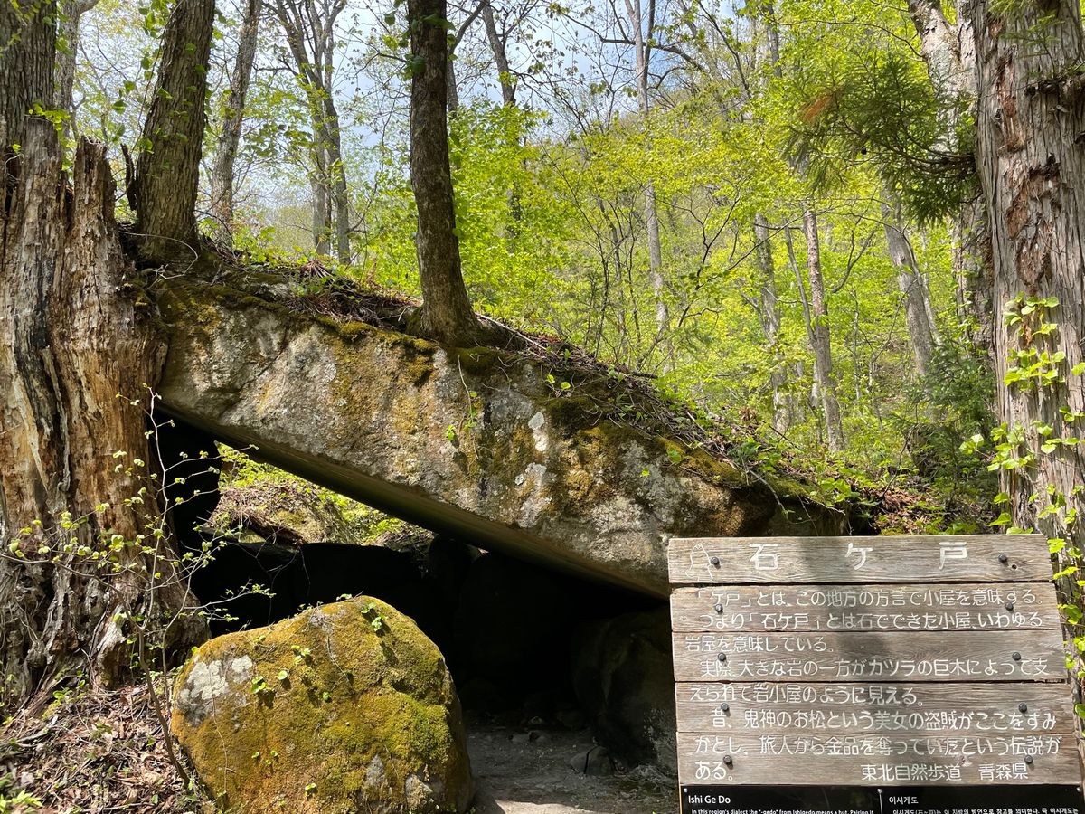奥入瀬渓流#石ヶ戸#阿修羅の流れ