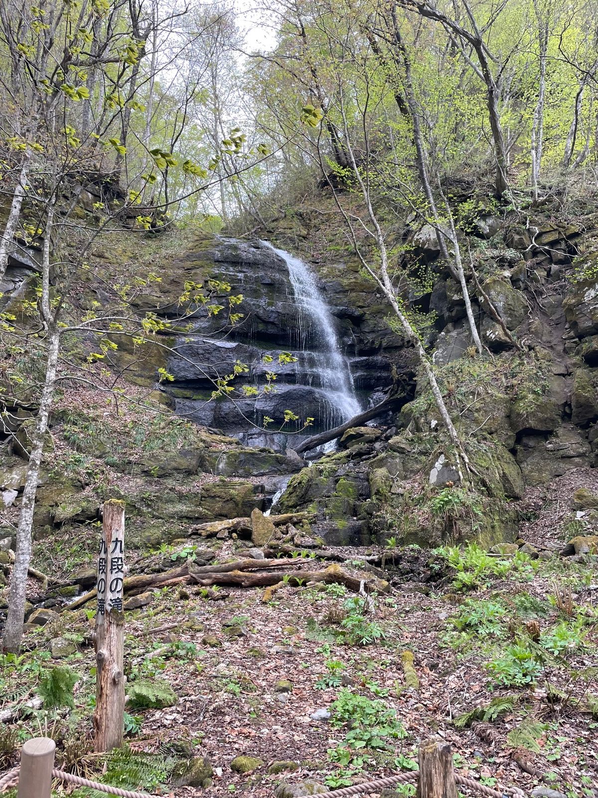 奥入瀬渓流#白布の滝#九段の滝#銚子大滝