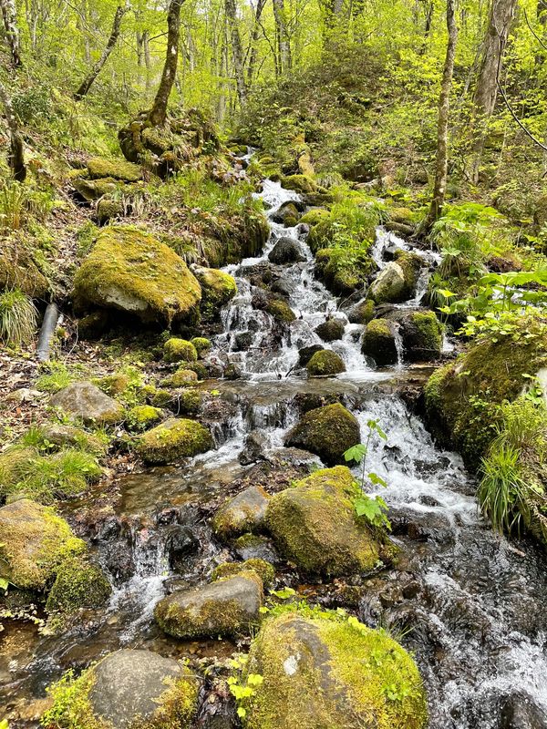日本・青森県「GWは青森で決まり！」の写真：奥入瀬渓流#千筋の滝#雲井の滝