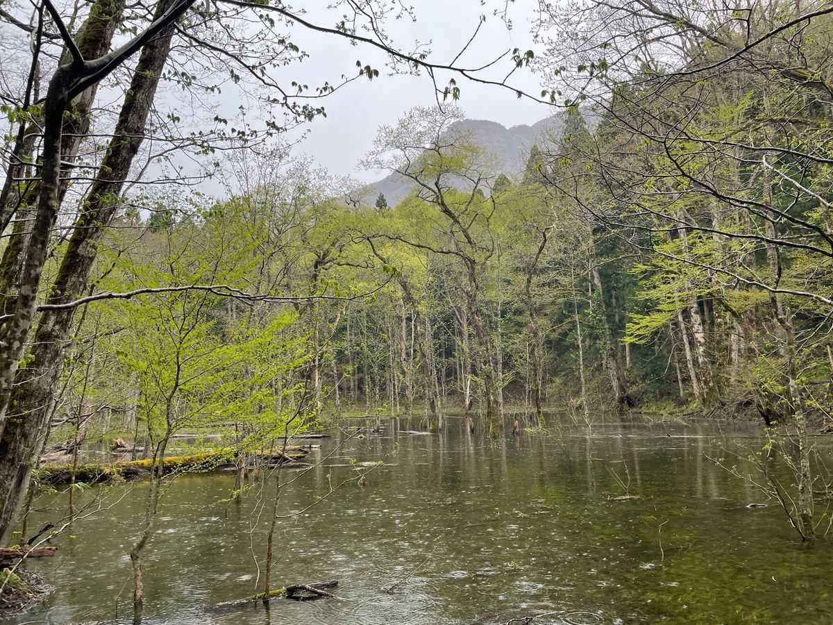 白神山地#金山の池#子宝の池#沸壺の池#日本キャニオン