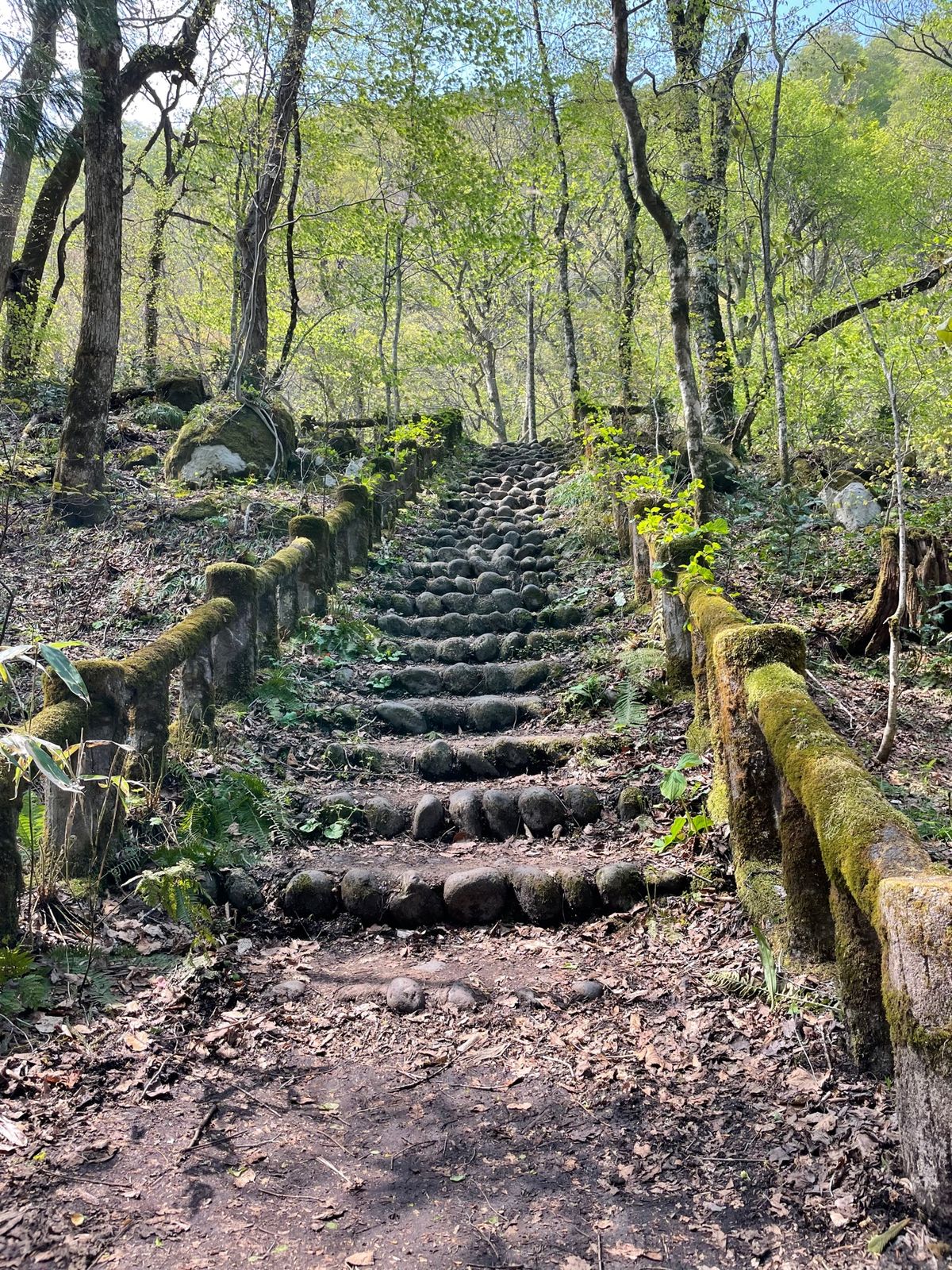 奥入瀬渓流#白布の滝#九段の滝#銚子大滝