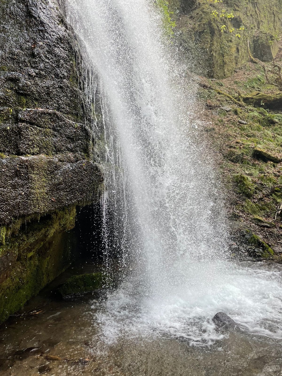 奥入瀬渓流#千筋の滝#雲井の滝