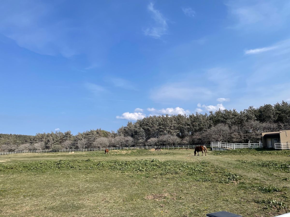 #尻屋崎灯台#寒立馬