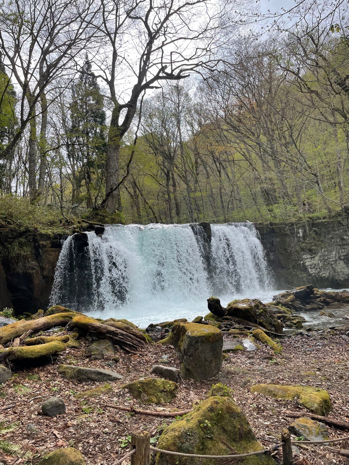 奥入瀬渓流#白布の滝#九段の滝#銚子大滝