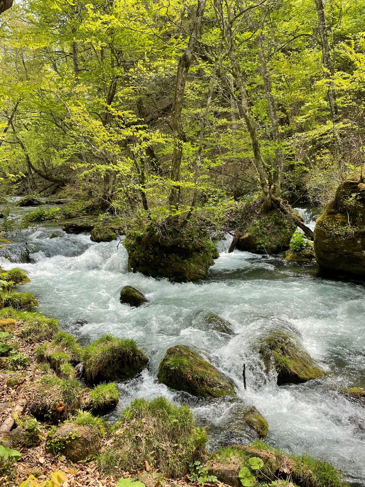 奥入瀬渓流#石ヶ戸#阿修羅の流れ