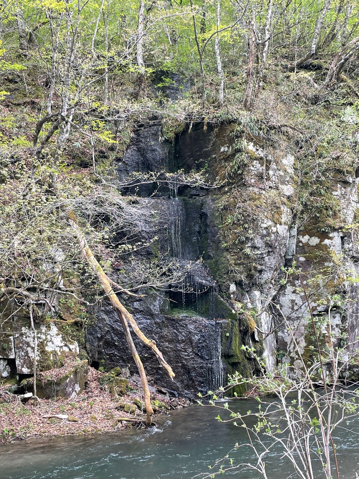 奥入瀬渓流#千筋の滝#雲井の滝