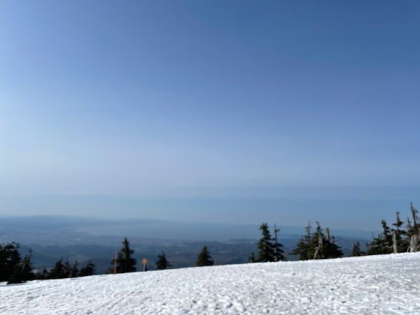 日本・青森県「GWは青森で決まり！」の写真：八甲田山ロープウェイ