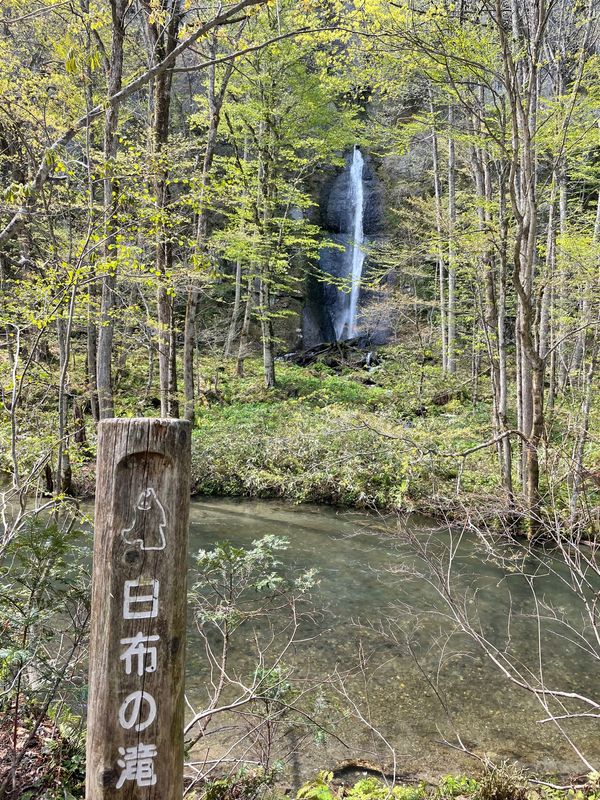 日本・青森県「GWは青森で決まり！」の写真：奥入瀬渓流#白布の滝#九段の滝#銚子大滝