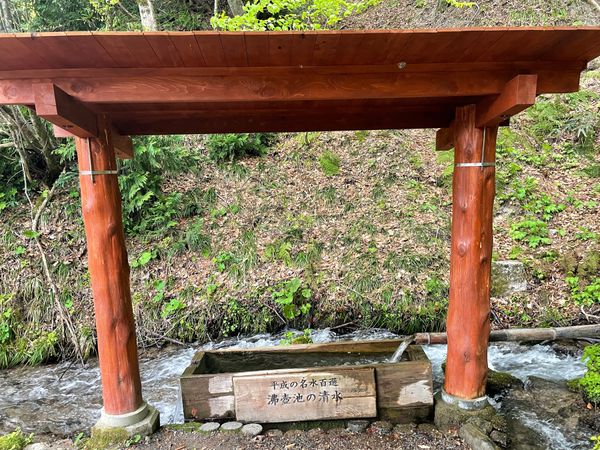 日本・青森県「GWは青森で決まり！」の写真：白神山地#沸壺池の清水#王池#落口の池#青池