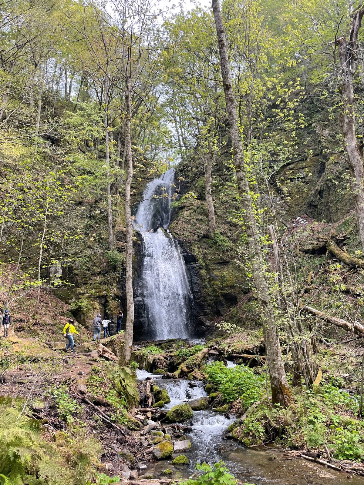 奥入瀬渓流#千筋の滝#雲井の滝