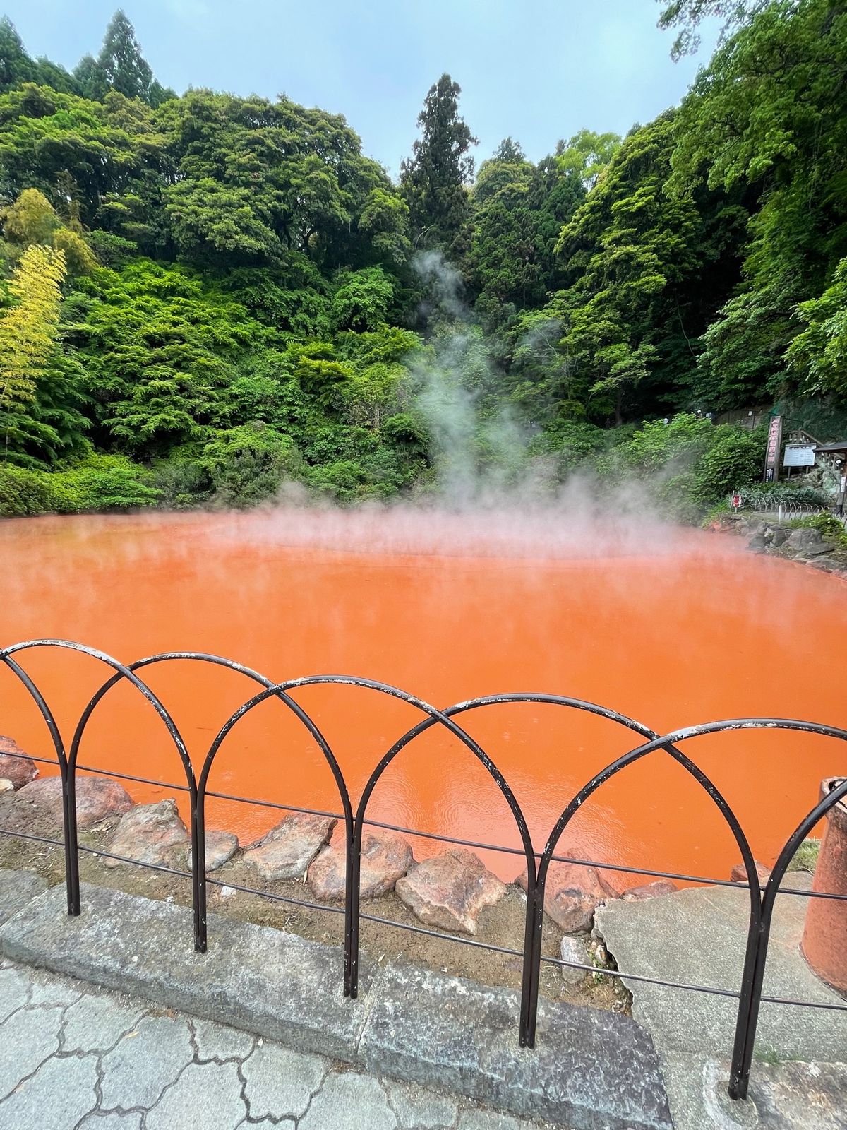 別府といえば地獄めぐり。
約30年ぶりに観光。

ワニ🐊も面白いけどピラル...