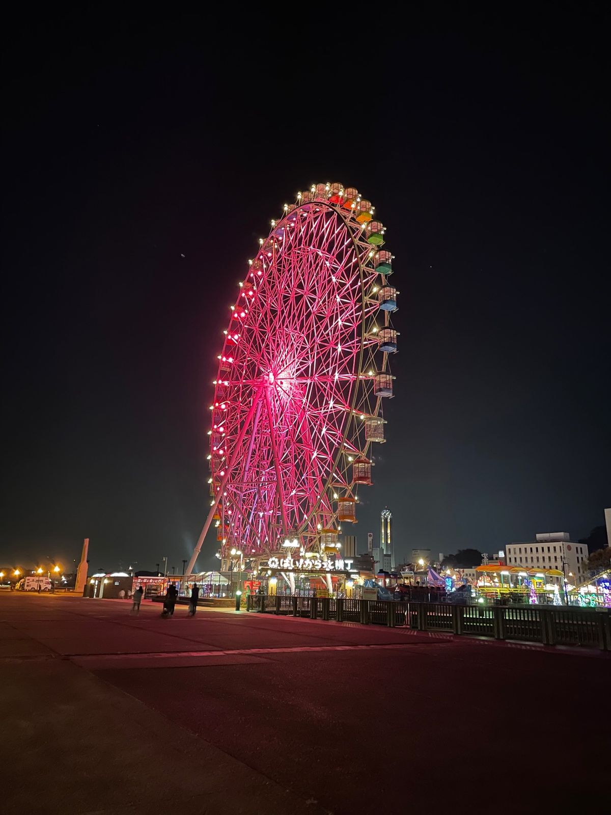 夕食はホテルでふく会席。
お腹はり裂けないように少なめのコースにしたのは正...