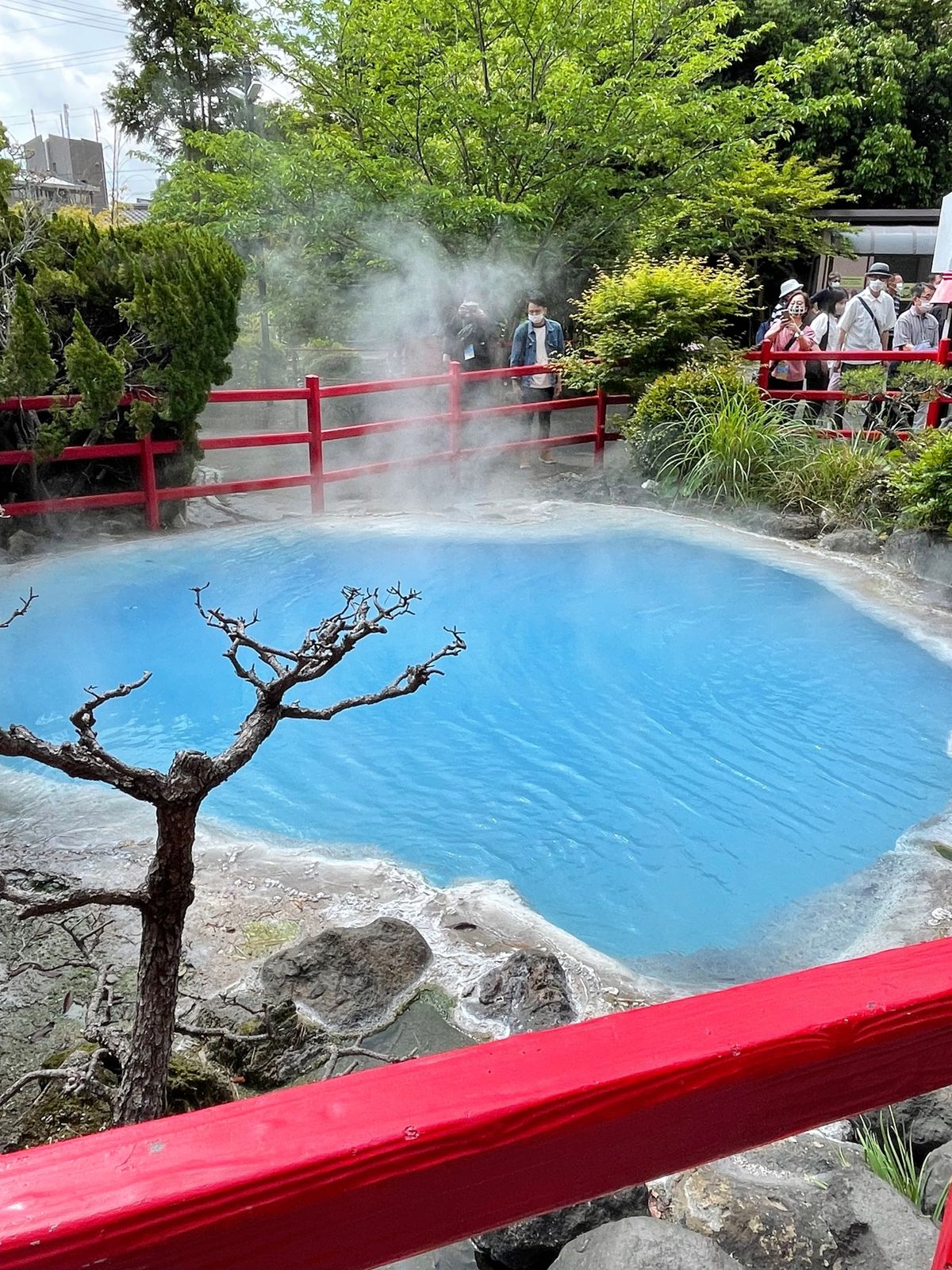 別府といえば地獄めぐり。
約30年ぶりに観光。

ワニ🐊も面白いけどピラル...