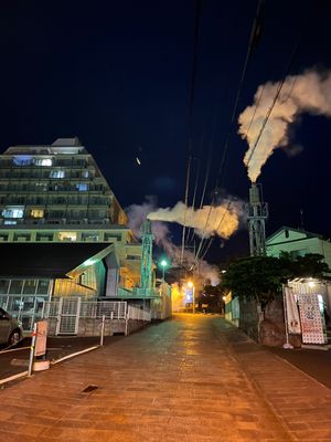 鉄輪温泉の湯けむりは怖いけど面白い。

夕飯は名物りゅうきゅう丼ととり天。