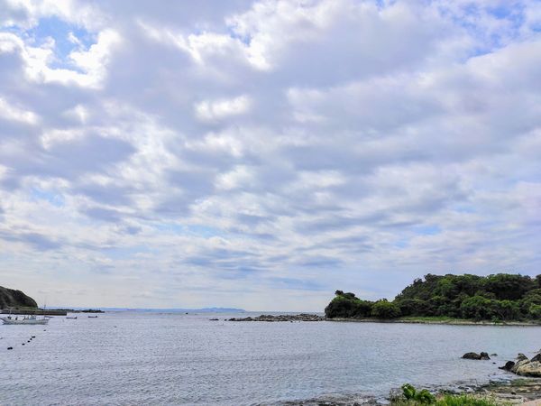 日本「三浦半島1/4日小旅行」の写真：旅行というかロードバイクで散歩
横須賀→...