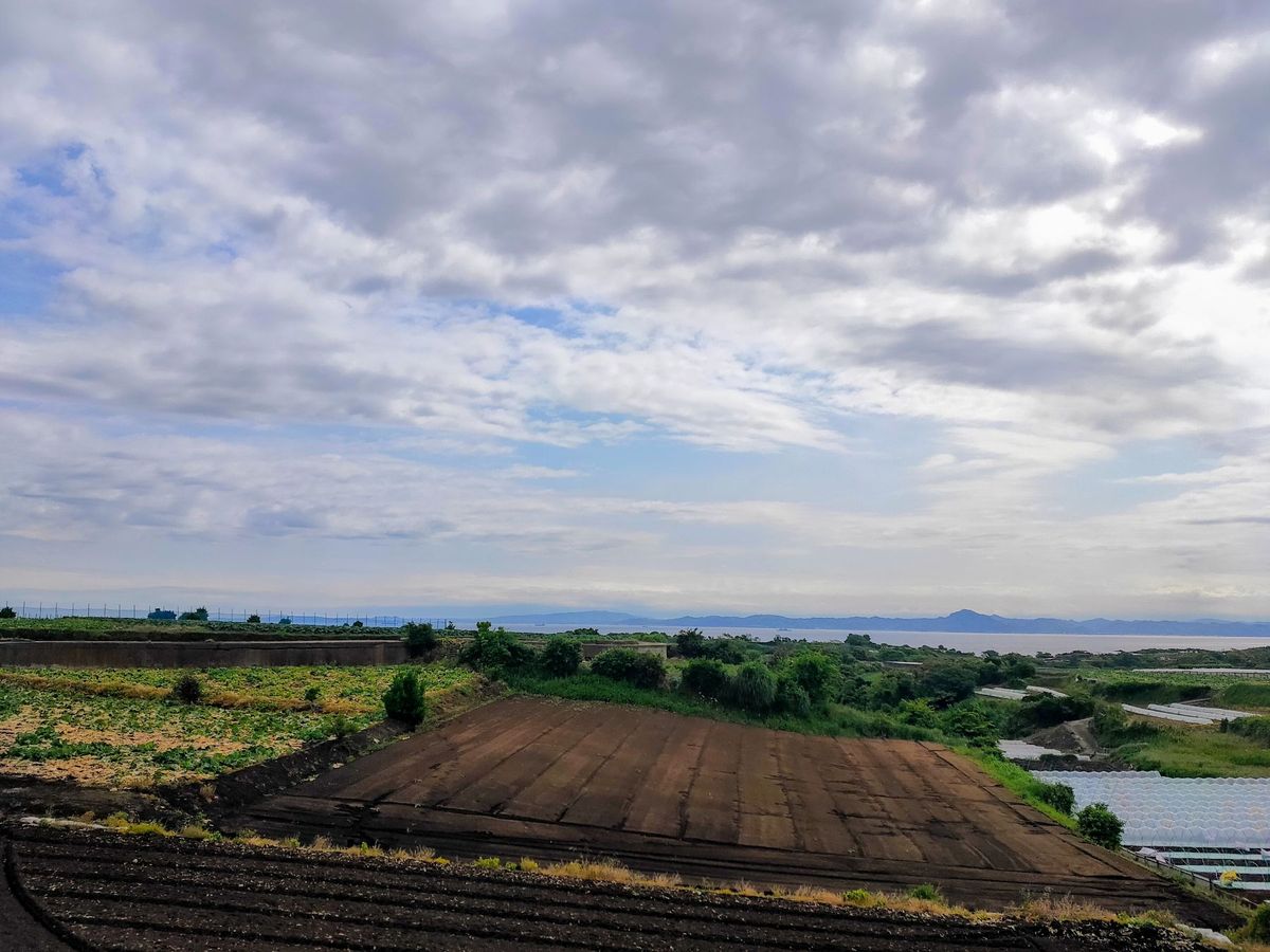 旅行というかロードバイクで散歩
横須賀→久里浜→野比海岸→三浦海岸→三浦の...