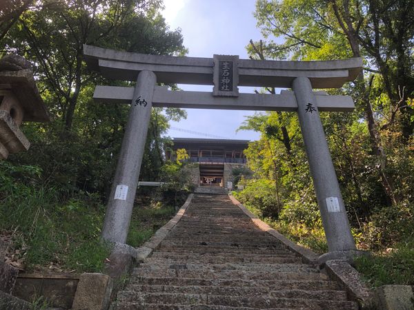日本・日本「日本三奇！」の写真