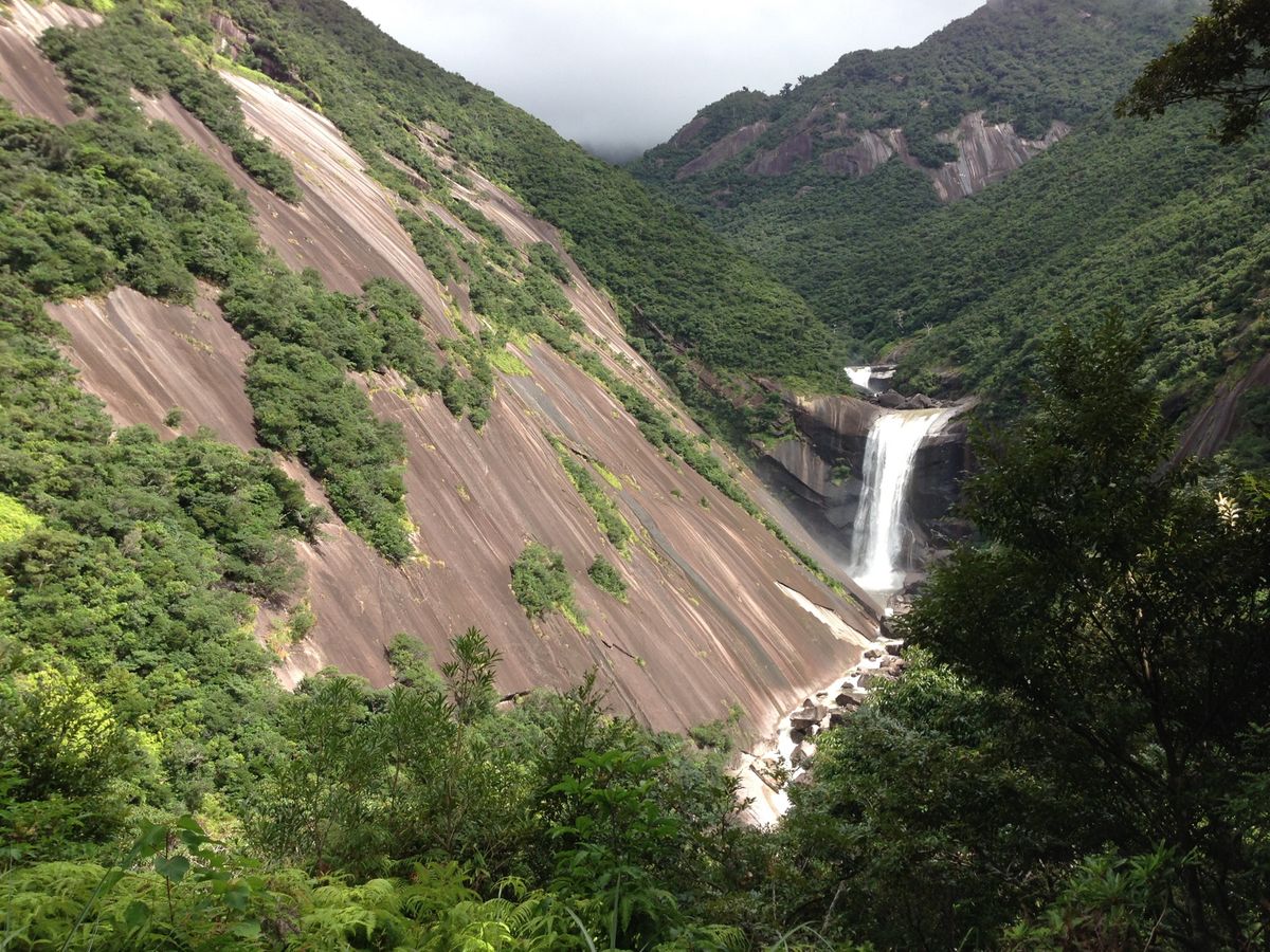 屋久杉登山
千尋の滝
島ドライブ🚗

訪問した日の夜はちょうど港でお祭りだ...
