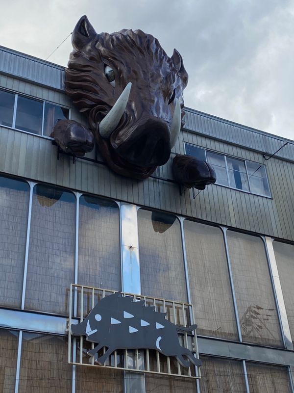 日本・兵庫県「篠山散歩🚶🏻‍♂️」の写真：篠山城、黒井城跡🏯