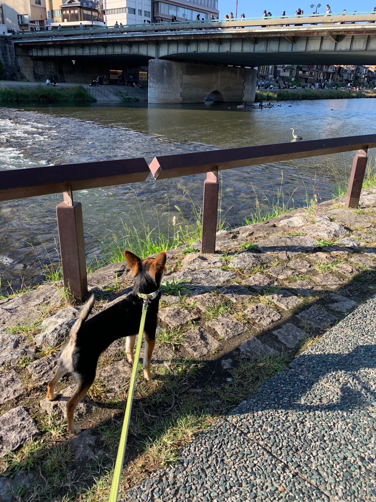 写真が少なすぎました。とりあえずある分だけでもアップします⤴️