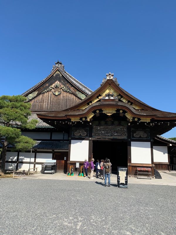 日本・京都府「チップの散歩　京都編」の写真：写真が少なすぎました。とりあえずある分だ...
