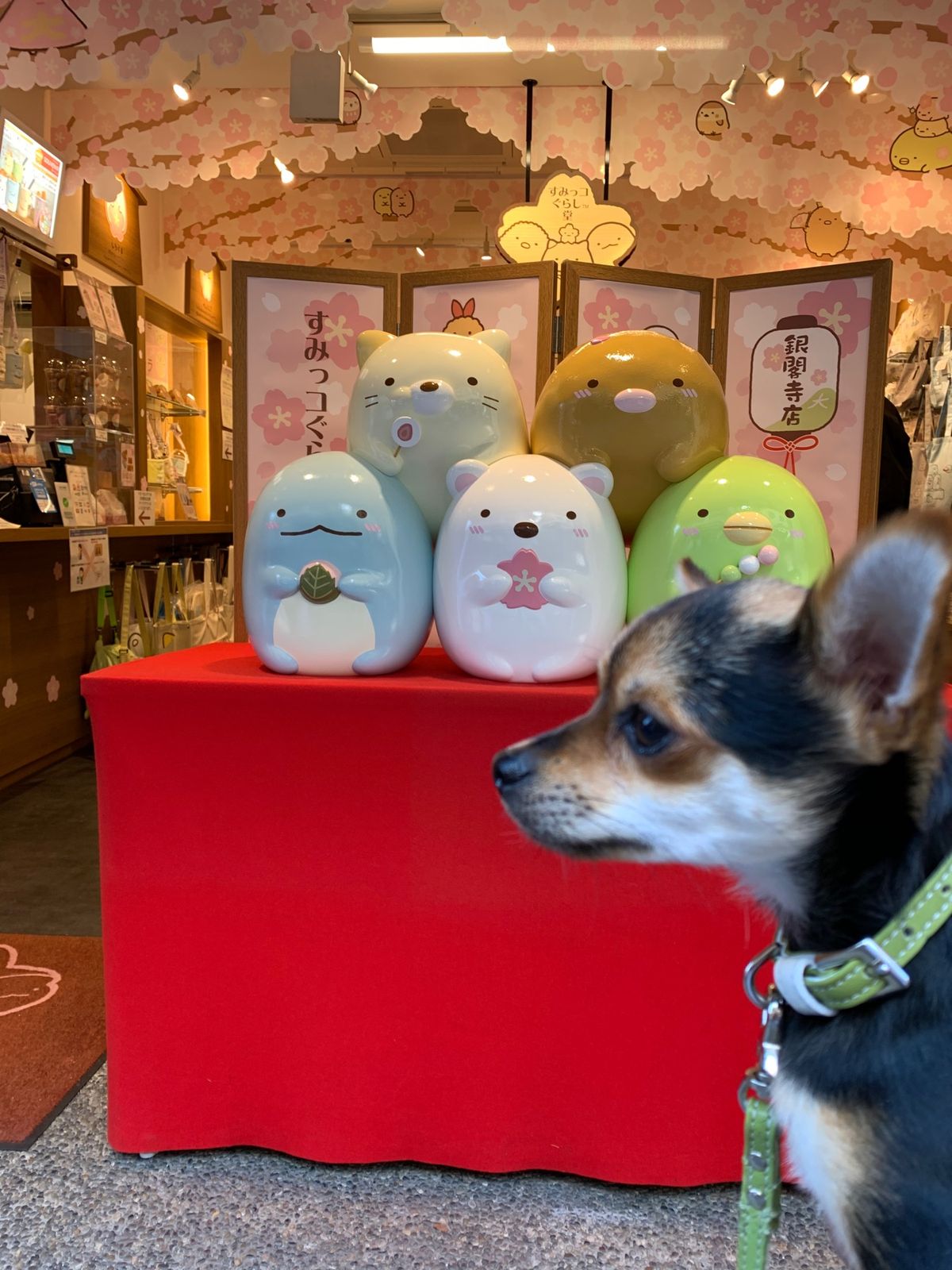 写真が少なすぎました。とりあえずある分だけでもアップします⤴️