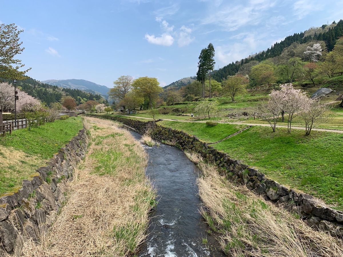 バスセンターで永平寺行きのチケットを買いに行くと、コロナ感染のため本日より...