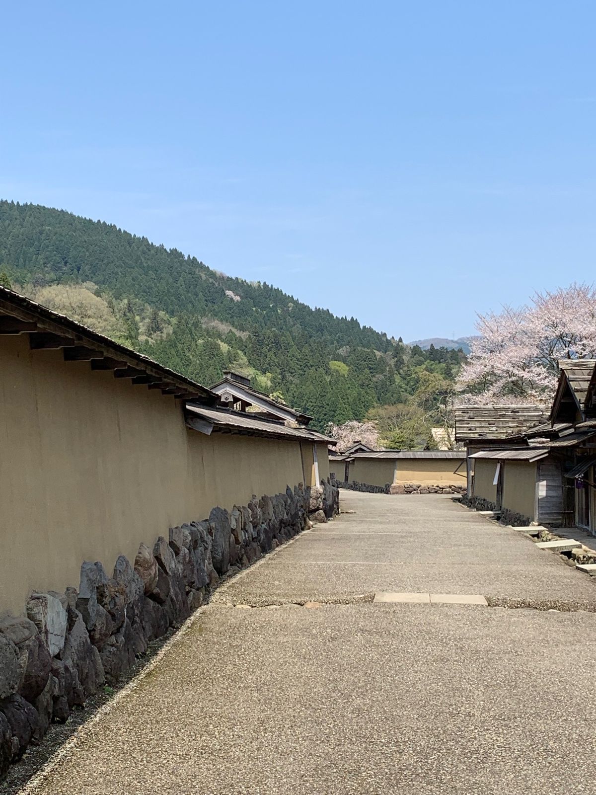 バスセンターで永平寺行きのチケットを買いに行くと、コロナ感染のため本日より...