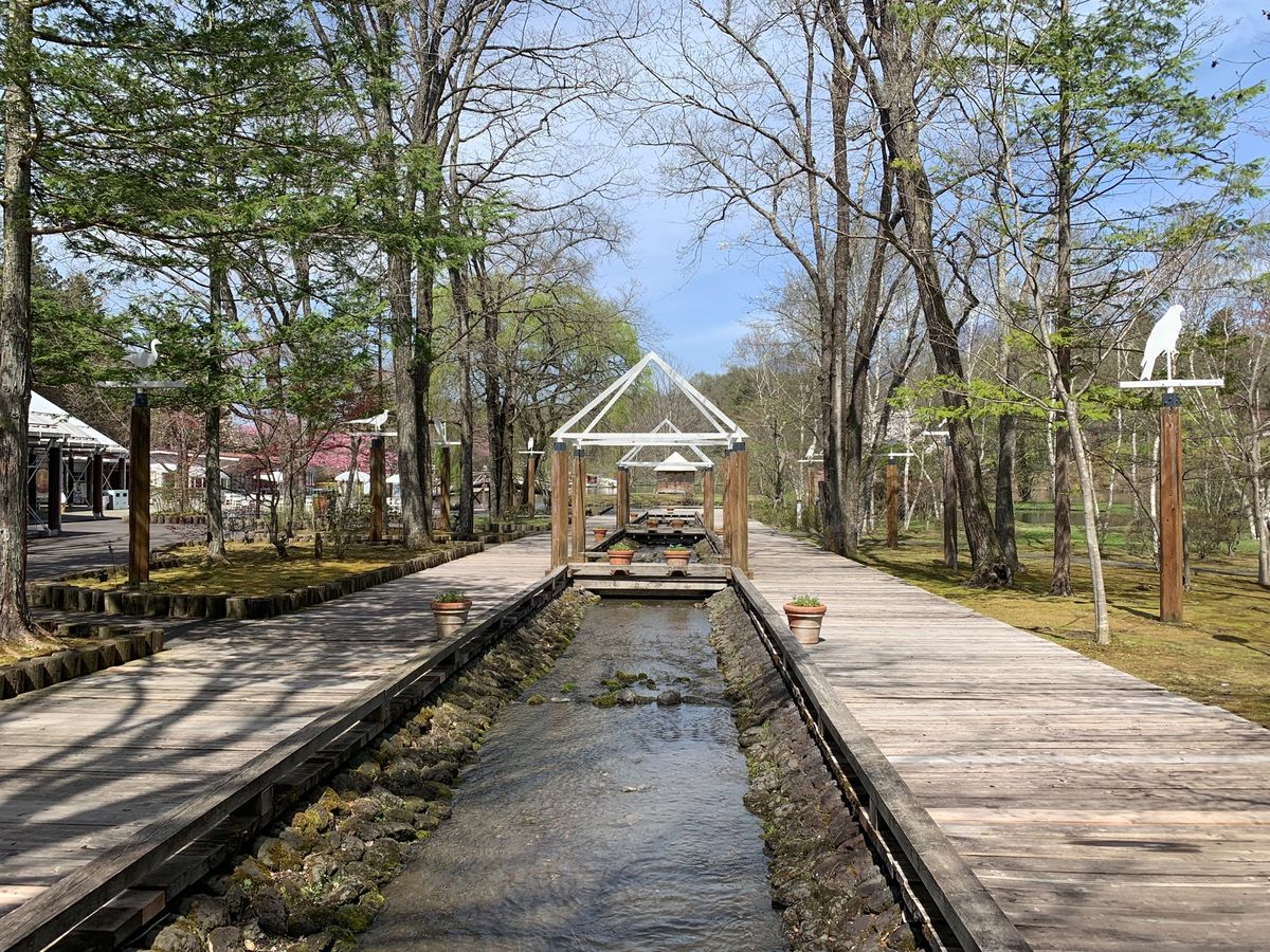 やって来たのは　
塩沢湖
タリアセンに入場
桜が濃いピンクで可愛い💕
