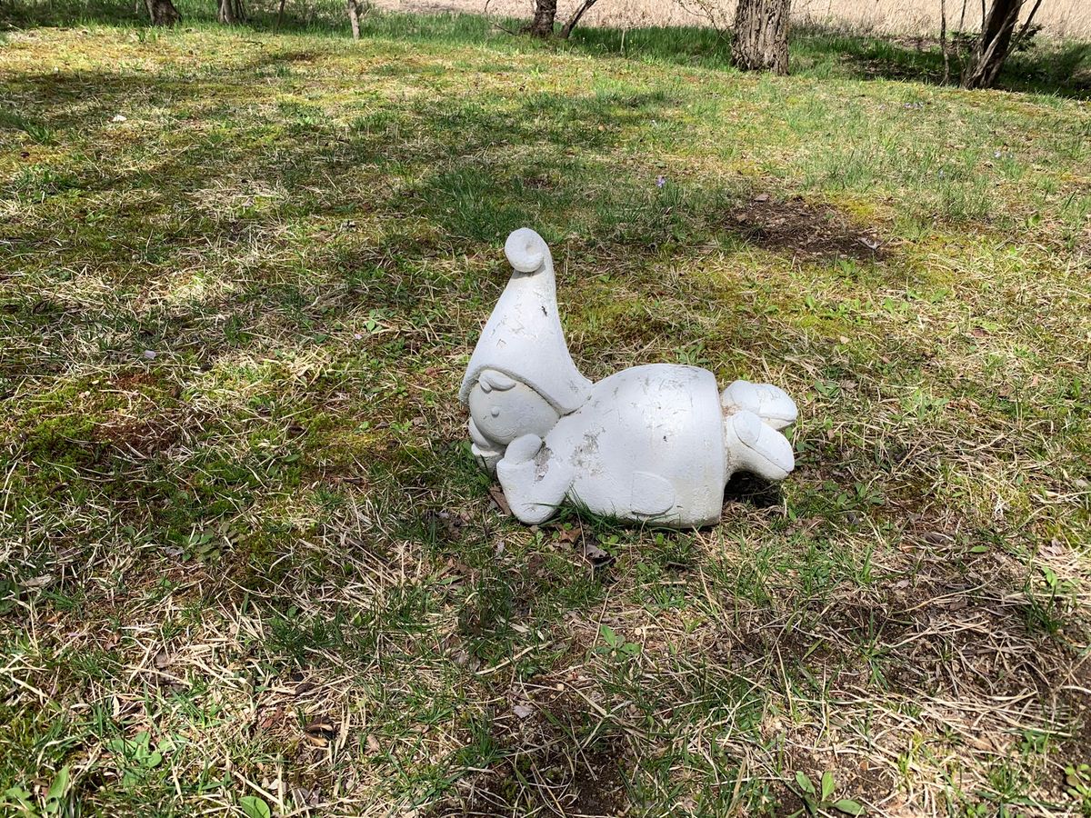 やって来たのは　
塩沢湖
タリアセンに入場
桜が濃いピンクで可愛い💕