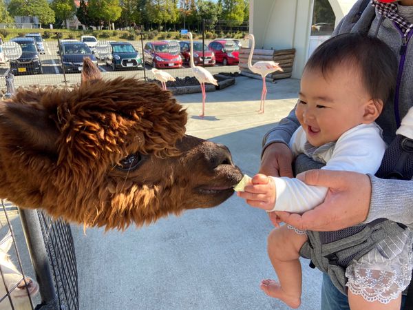 日本・熊本県「黒川温泉宿泊」の写真：阿蘇ファームランド　ふれあい動物王国
