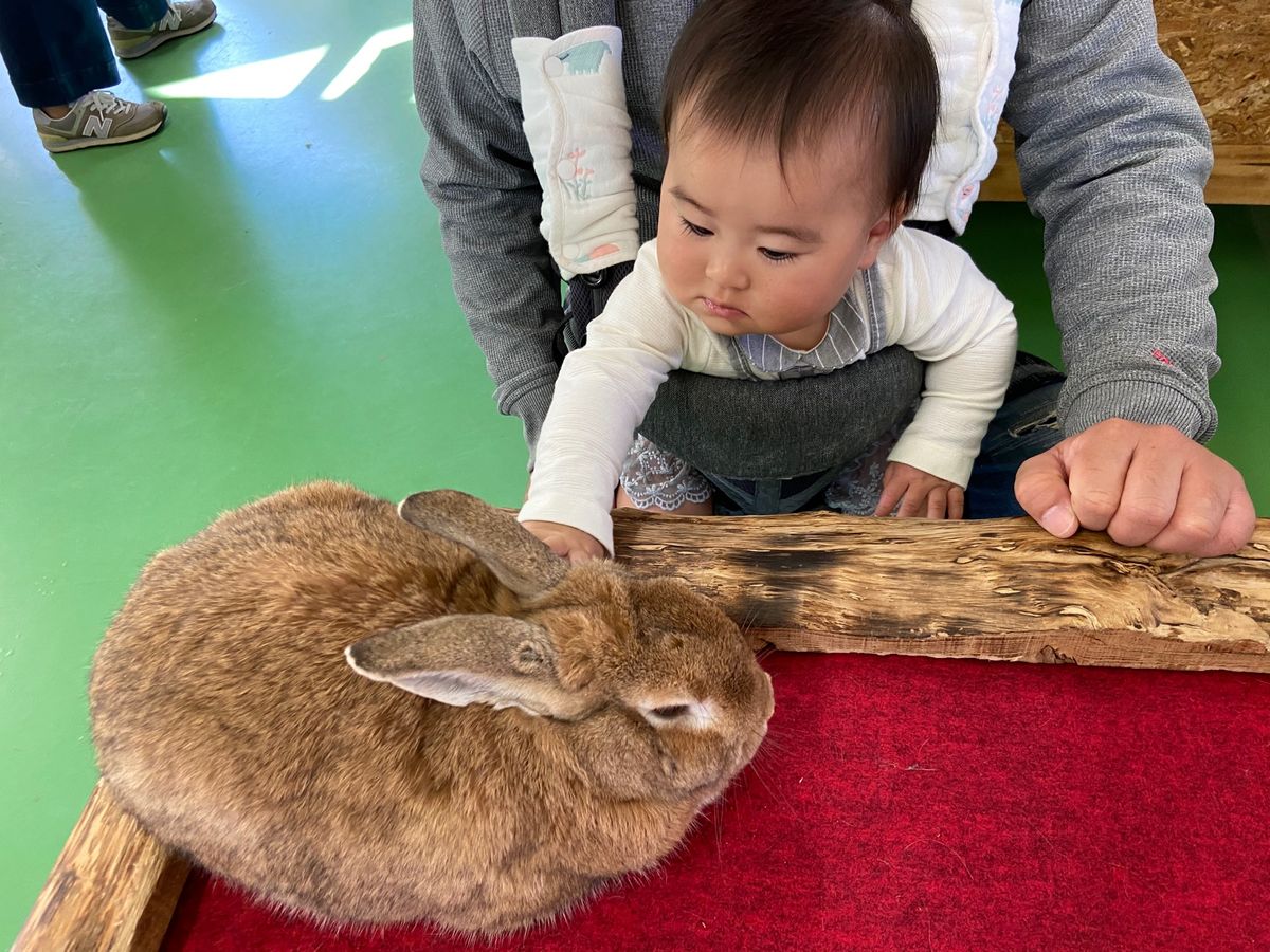 阿蘇ファームランド　ふれあい動物王国
