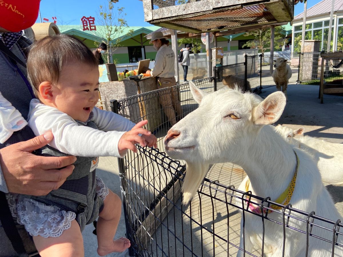 阿蘇ファームランド　ふれあい動物王国
