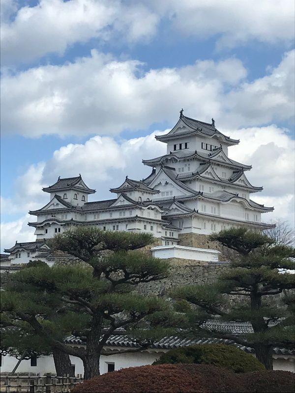 日本・兵庫県「姫路城マラソン中止」の写真：世界一のお城です🏯