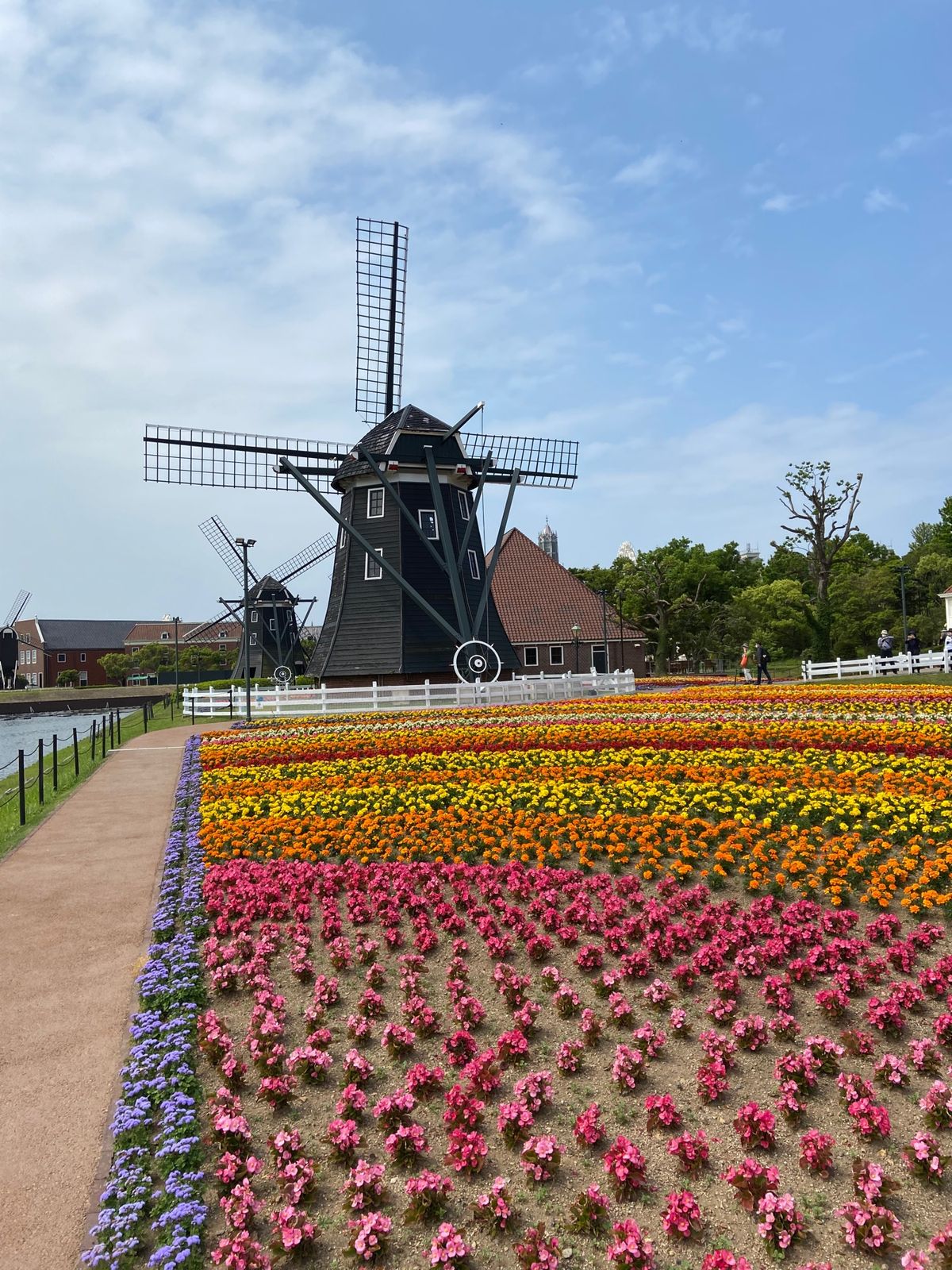 街全体がライトアップされていて、とても綺麗だった。
