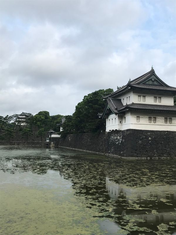 日本・東京都「業績表彰ついでに皇居ラン」の写真：皇居ラン🏃‍♂️