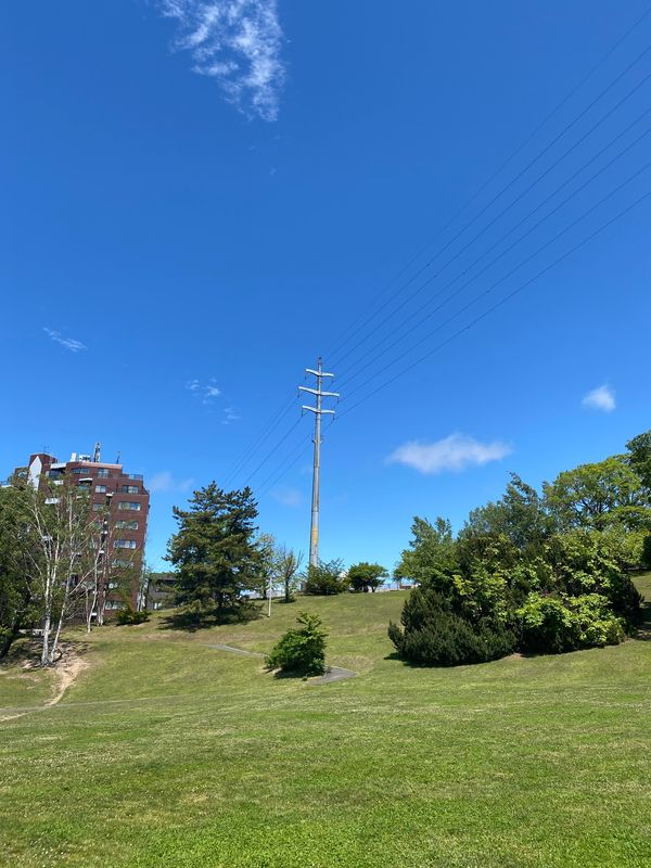日本・北海道「梅雨なんて関係なし！6月の北海道」の写真：スタバでデザートを買いつつ平岸高台公園へ...