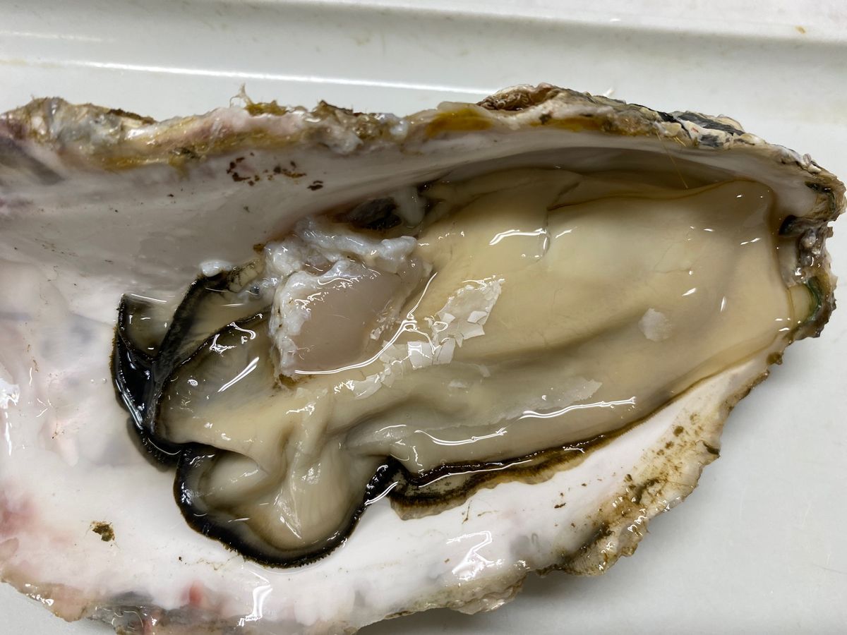 二条市場で牡蠣といくら丼。
贅沢ランチ。