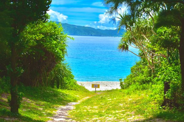 日本・沖縄県「沖縄旅行」の写真：古座間味ビーチ